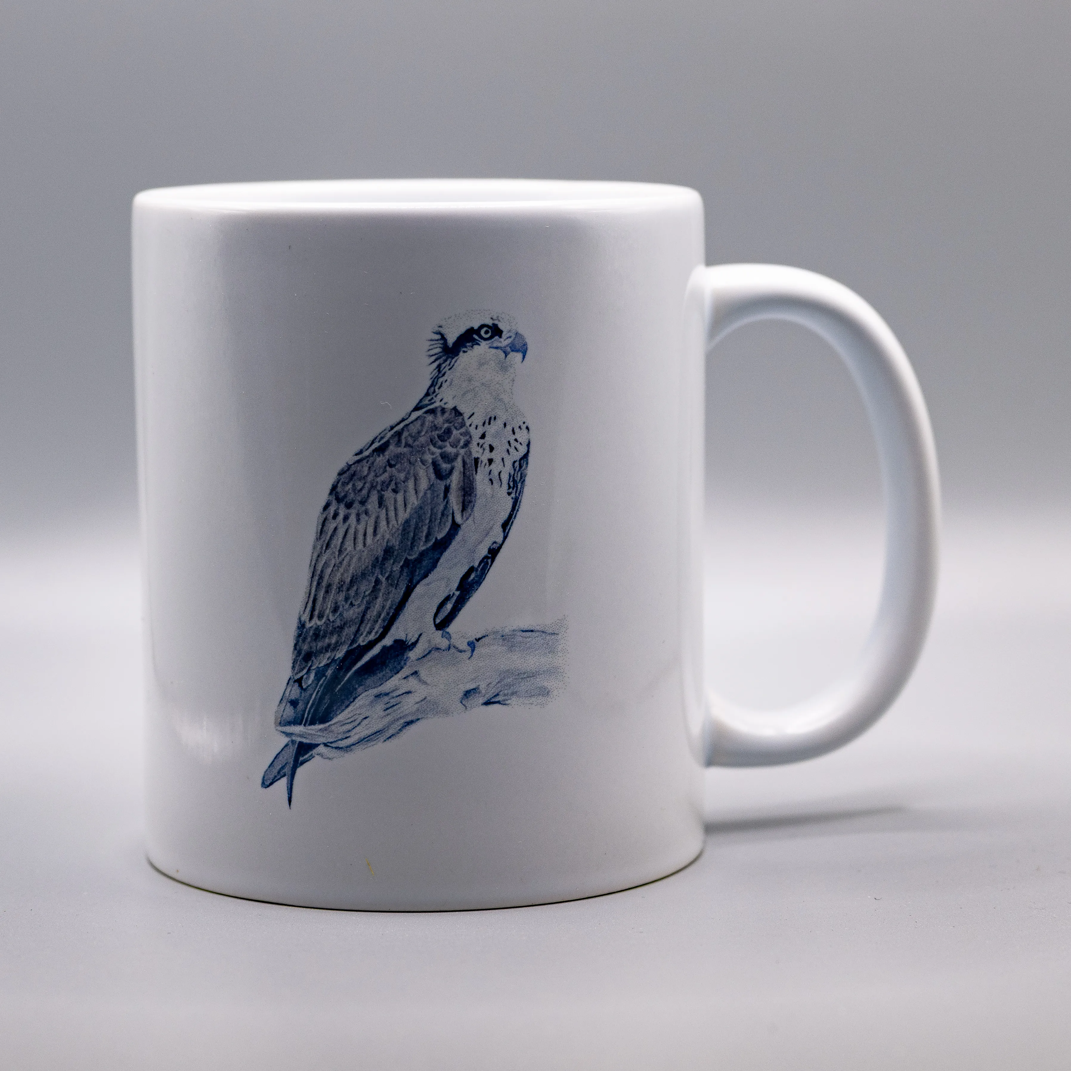 Osprey Bird Coffee Mug – 11oz Wildlife & Birdwatching Gift